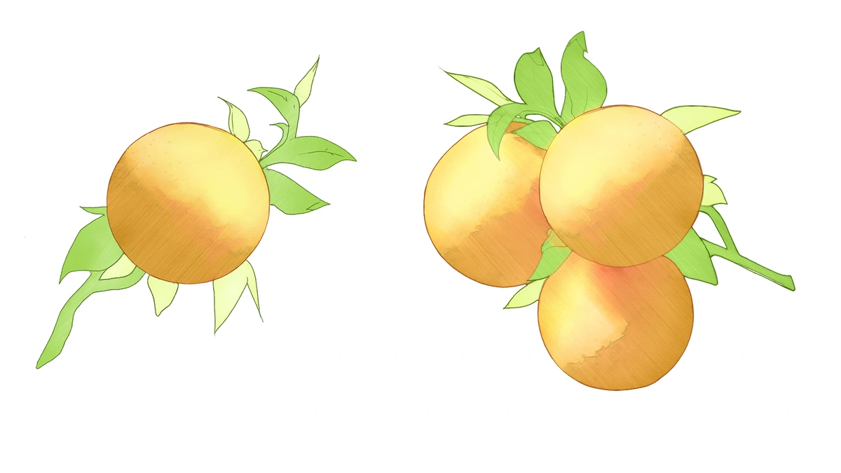 Fantasy Citrus And Leaf Template - Detailed View