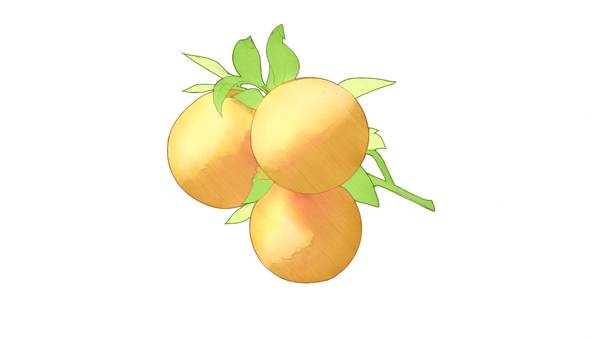 Fantasy Citrus And Leaf Template - Product Specifications and Info
