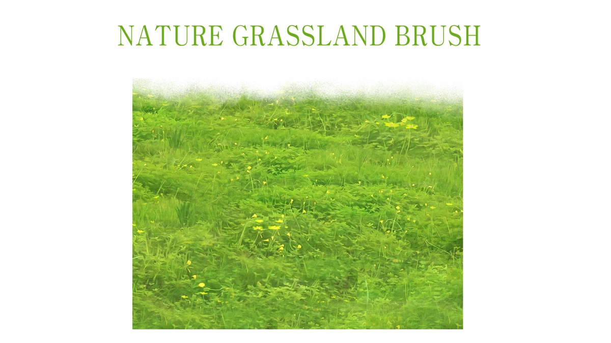 Grassland Fantasy Brush 01 - Main Product Visual