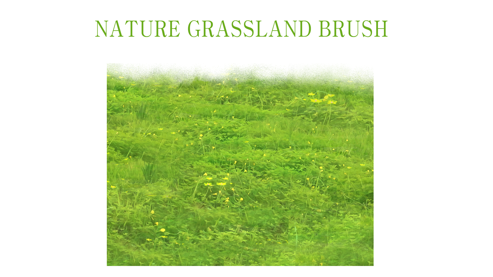Grassland Fantasy Brush 01