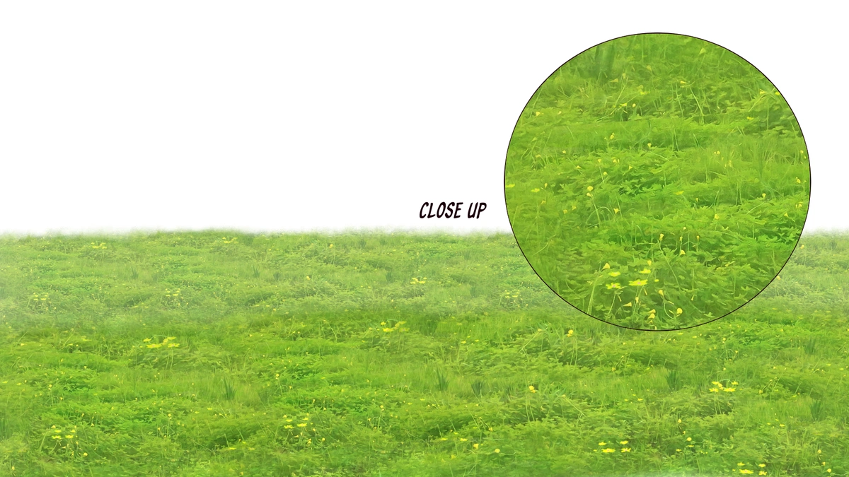 Grassland Fantasy Brush 01 - Product Specifications and Info